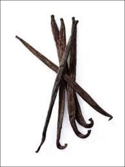 Vrai ou faux : la vanille fait partie de la famille des orchidées.