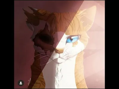 Quel est le genre de Cur Blanc ?