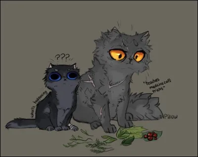 Quel est le grade de Museau Cendré ? (aucun rapport mais l'image est drôle)