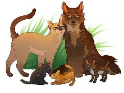 Comment se nomme le/la chat/te domestique ayant eu des chatons dans le Clan de la Rivière ?