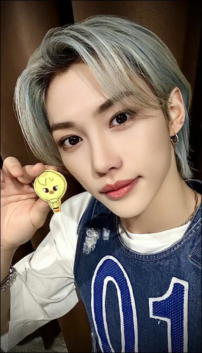 Quel animal représente son Skzoo ?