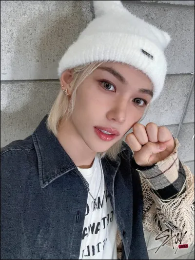 Quelle est la phobie de Felix ?