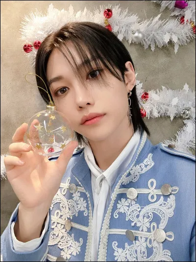 Avec quelle musique ont-ils débuté ?