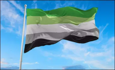 Qui est aromantique dans la série ?