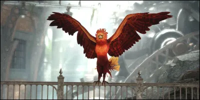 Quelles sont ses capacités ?