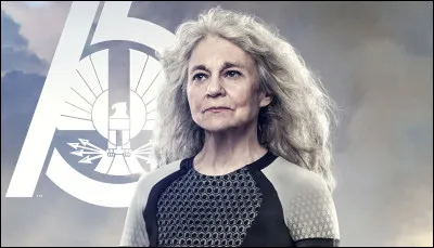 Ce personnage appartient à quel district ?