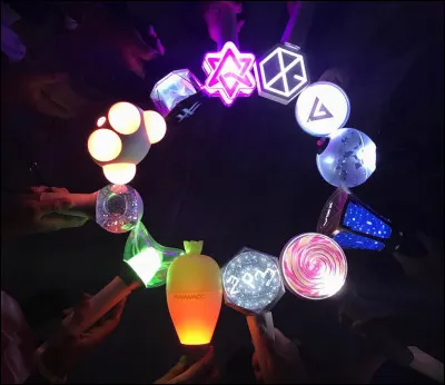 Quels sont les diff&eacute;rents lights sticks pr&eacute;sents sur la photo entre fans KPOP&nbsp; ?