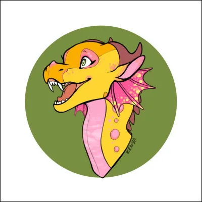 Quelles sont leurs capacités ?