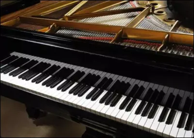 Lequel est un instrument traditionnel ?