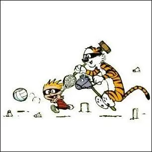 Quel nom Calvin a-t-il donn au jeu, driv du base-ball, qu'il a cr avec Hobbes ?