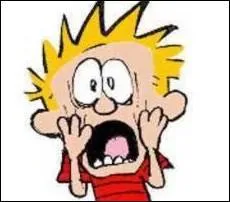 Quelle est la seule personne dont Calvin ait rellement peur ?