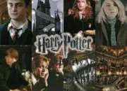 Quiz 1 personnage = 1 image Harry Potter