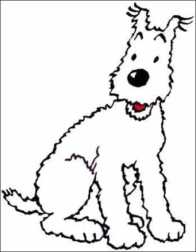 Quelle est la race de Milou, le chien de Tintin ?