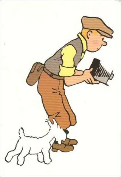 Quelle est la profession de Tintin ?