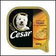 De quelle race est le chien qui sert de logo  la marque 'Csar' ?