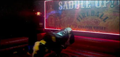 Qui chantait "Saddle up" en 1982 ?