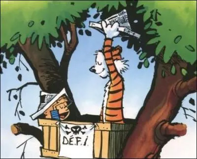 Calvin et son tigre ont cr le D. E. F. I. Que signifient ces initiales ?