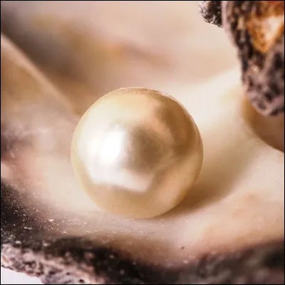 Quelle chanteuse a écrit le titre "Move Over" pour son album "Pearl" ?