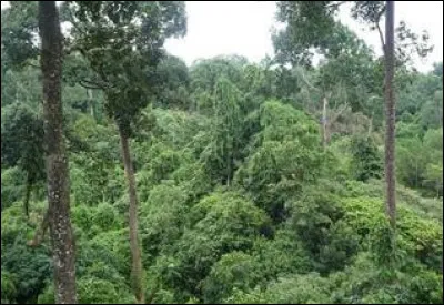 Où, Richard Quine met-il une vierge, en 1964 ?