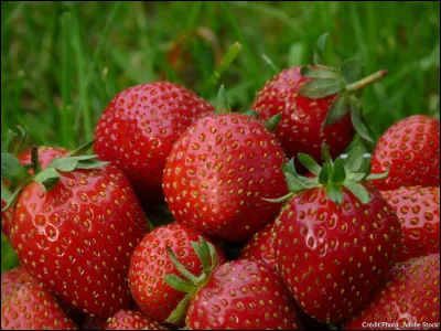 Lequel de ces films de Gordon Douglas est sorti en 1952 ?