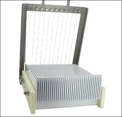 Qui y a-t-il avec Frankie dans le film de Garry Marshall en 1991 ?