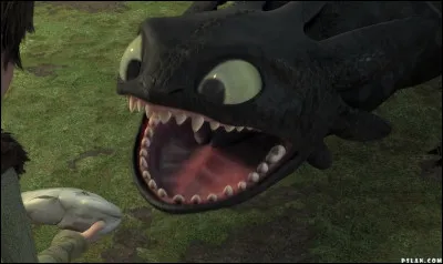 Quel est ce dragon ?