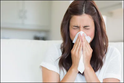 Veuillez traduire : Prétérit : souffler/se moucher