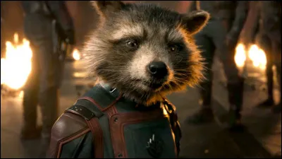 R : Rocket Raccoon
A-t-il un passé triste ?