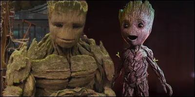 G : Groot
Comment s'appelle son meilleur ami ?
