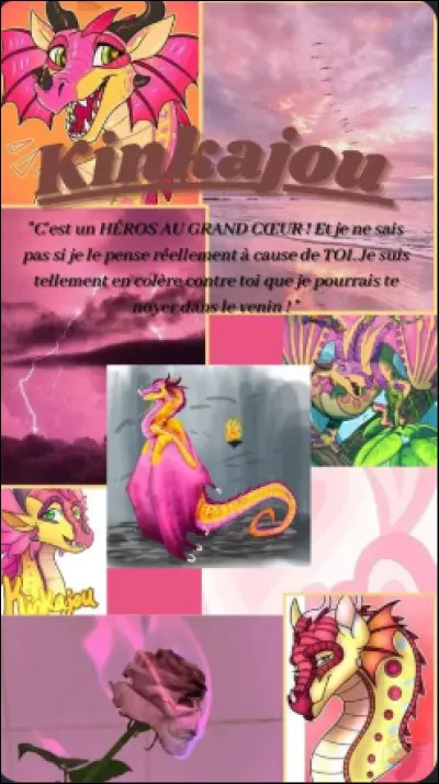 Parmi les suivants, dans quel clan voudrais-tu être ? (1)