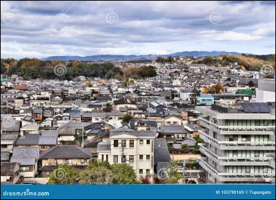 Dans lequel de ces pays se situe la ville de Nara ?