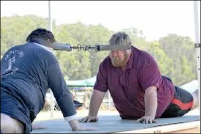Vous allez voir voir que les Australiens ne manquent pas d'idées, ils ont inventé ce sport qui consiste à vaincre un adversaire à la force du cou et de la nuque, en français on peut le traduire par "cou de fer", mais en réalité il s'appelle ...