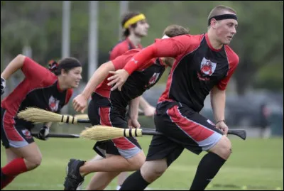 Manifestement, la saga Harry Potter a fait des émules, dans quel film peut-on voir pour la première fois un concours de Quidditch ?