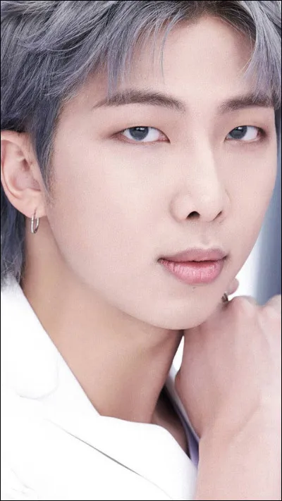 Quel groupe a pour leader RM ?