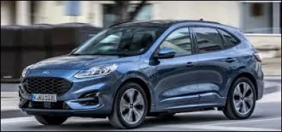 De quel modèle s'agit-il ?