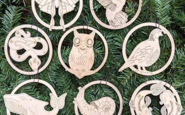 Quiz Animaux