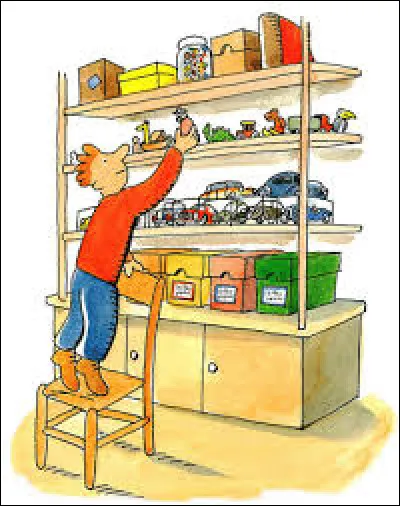 Quel collection un placomusophile ?