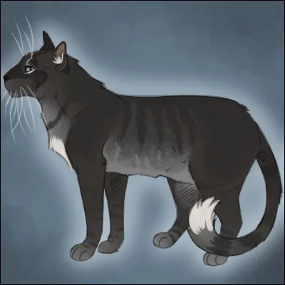 Quels animaux ont envahi les tunnels du Clan du Vent ?