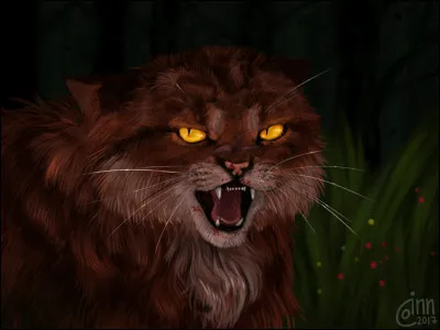 Comment &Eacute;toile du Tigre (l�original) a-t-il perdu son p&egrave;re ?