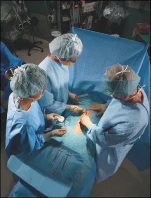 Quel organe est concern par une laparotomie ?