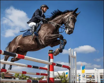 Quelle est la plus grande hauteur de CSO à cheval ?