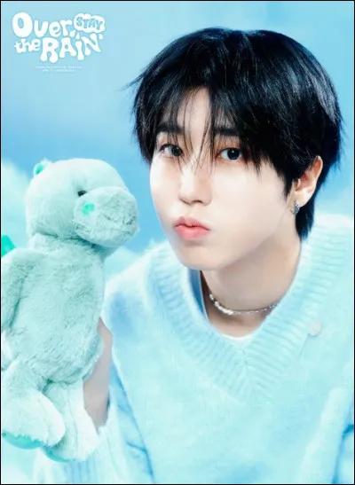 Que fait principalement Han dans le groupe ?