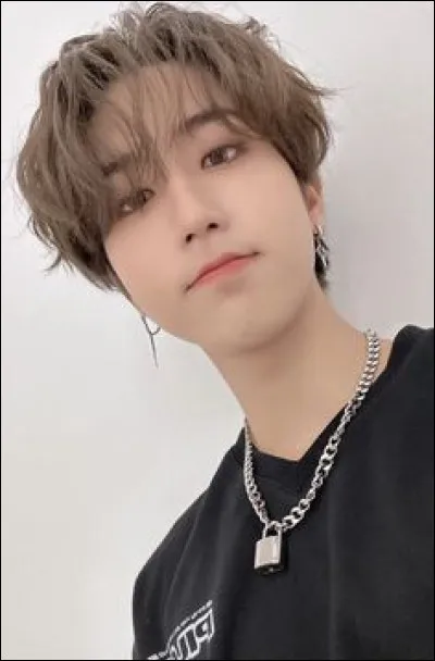 Quelle est sa couleur préférée ?