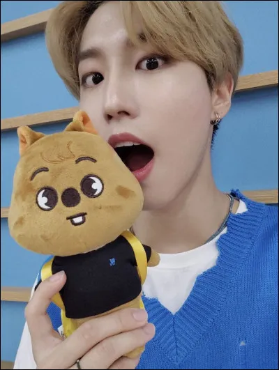 Quel animal représente son Skzoo ?