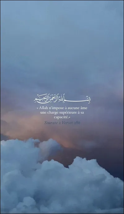 Préfères-tu les fonds décran simples ou chargés ?