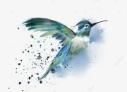 Quiz Les oiseaux