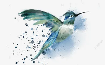 Quiz Oiseaux