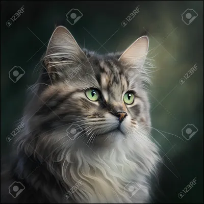 Quel est cet animal ?