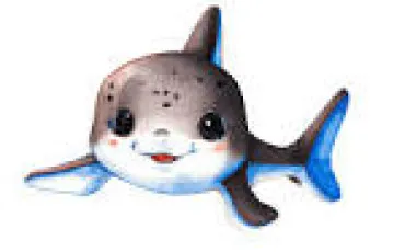 Quiz Requins