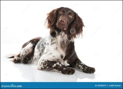 Vous connaissez la question...